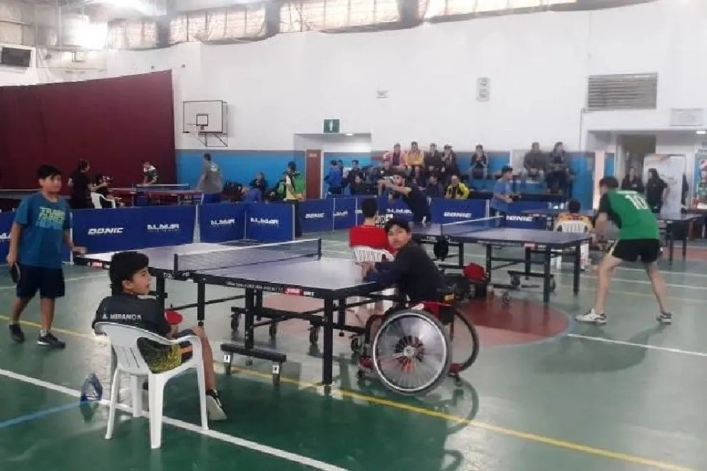 Representantes definidos en tenis de mesa
