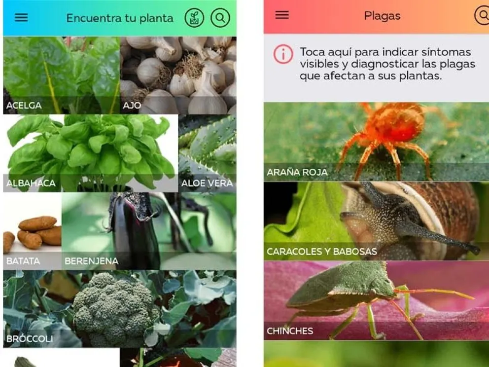 Hacé tu huerta y cuidala con esta app