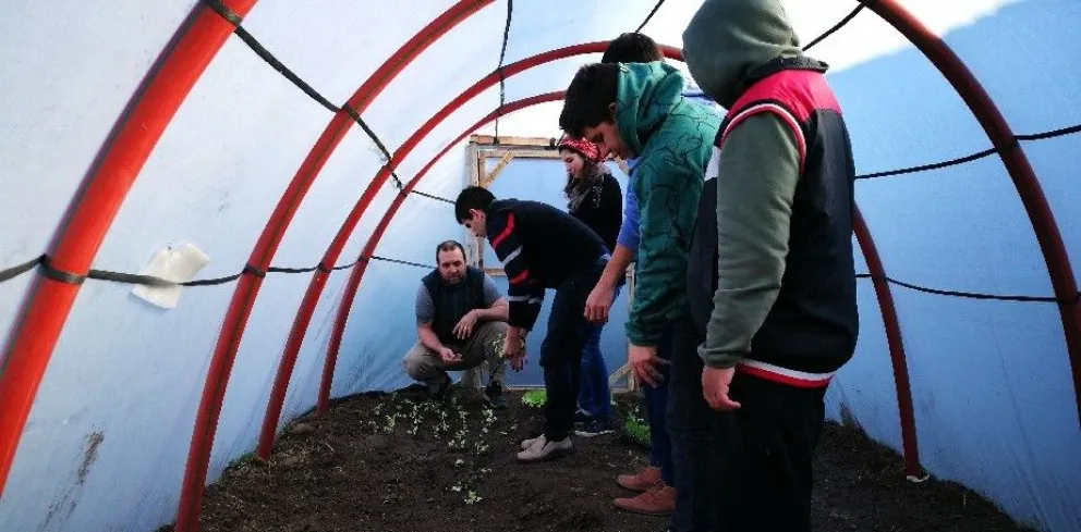 El Programa Invernadero como dispositivo de inclusión social