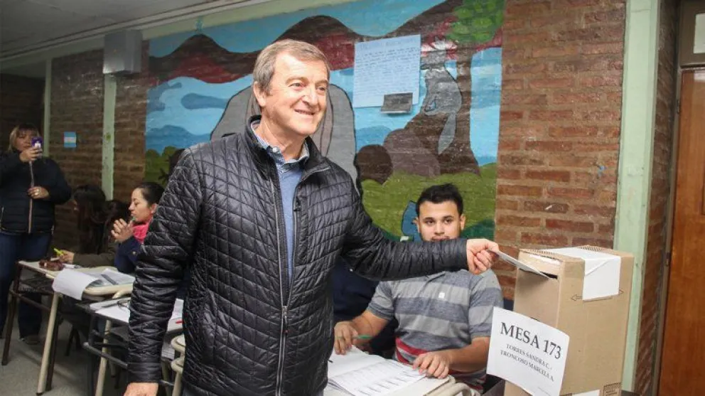 Tortoriello tranquilo y confiado