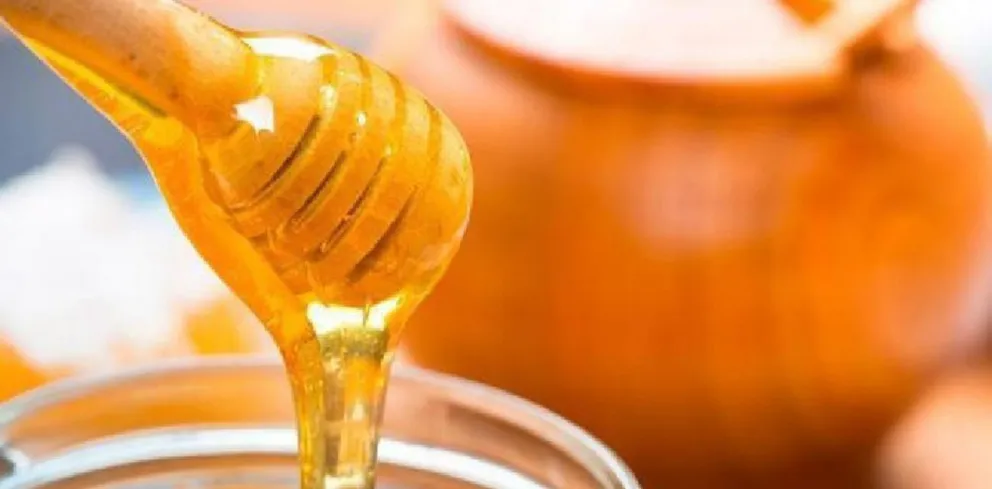 Río Negro y un fuerte impulso para la producción de miel