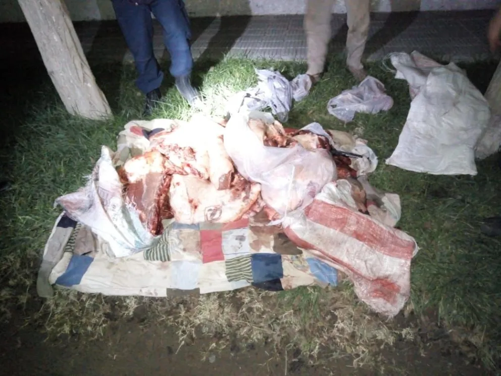 Secuestran más de 70 kilos de carne provenientes de la caza ilegal