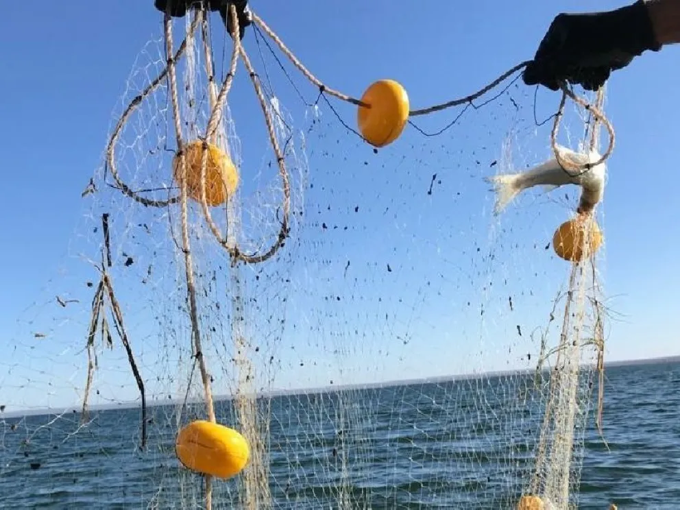 Llevan a cabo un muestreo de las poblaciones de peces del río Negro