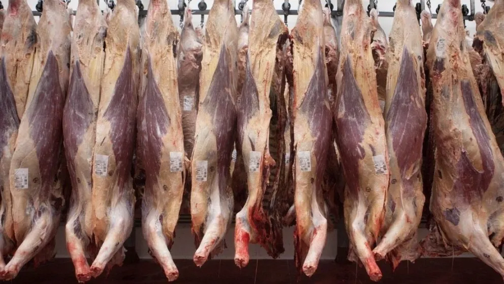 Carnes y frutas podrán exportarse a Europa con arancel cero