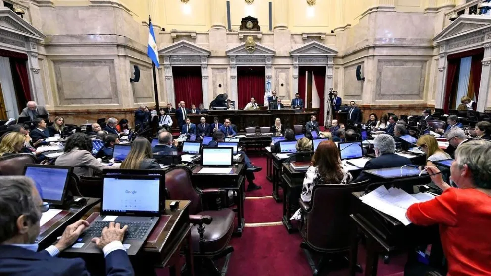 Michetti prohibió a los senadores canjear los pasajes por dinero