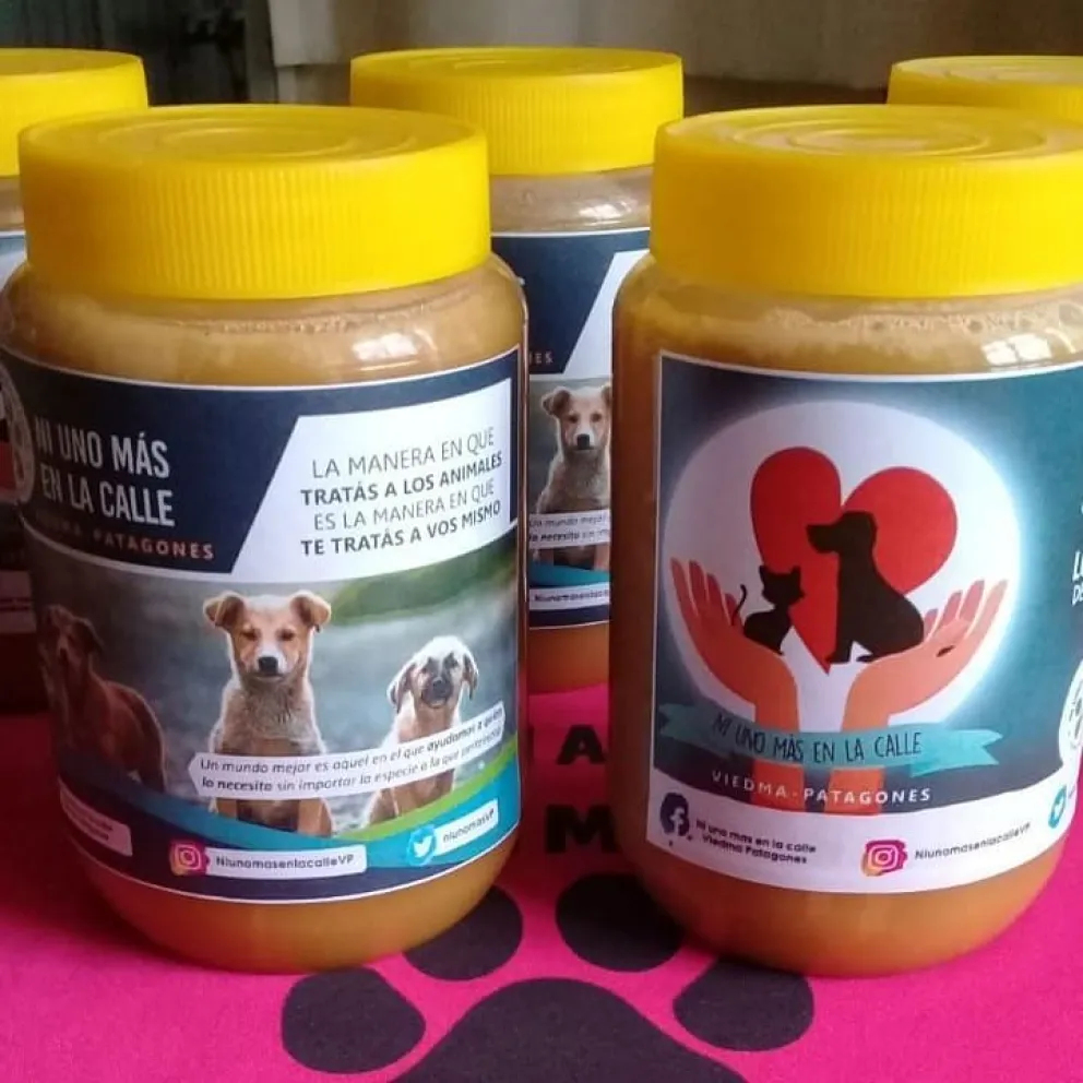 Venden miel para recaudar fondos para animales rescatados