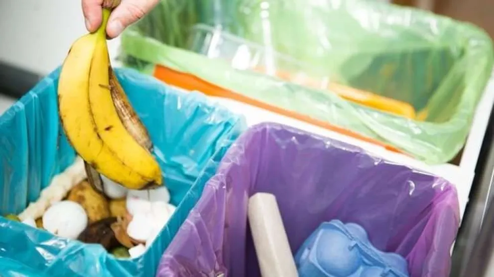 Trucos para evitar mal olor en el tacho
