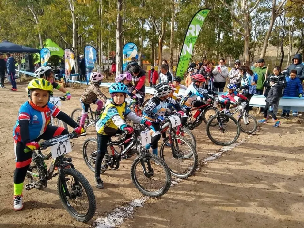 Viedmense de bronce en el nacional