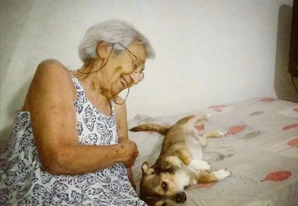 Una abuela de 97 años busca a su perro perdido