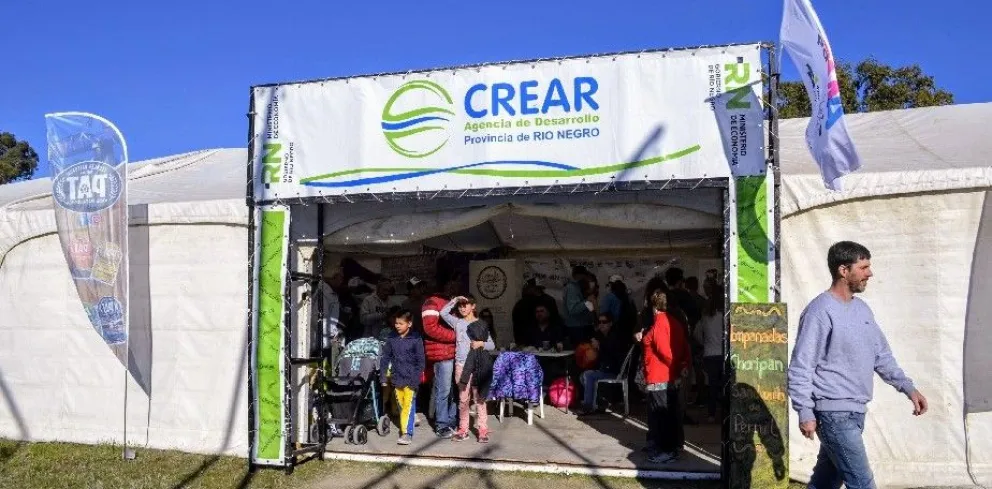 Registro de consultores para que empresas rionegrinas se beneficien con programas de CREAR