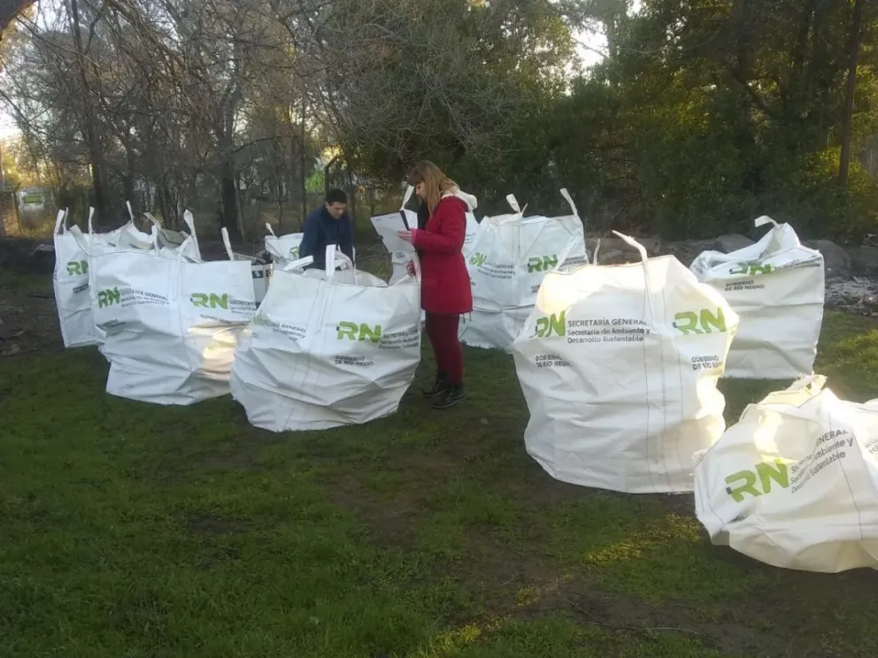 Nueva recolección de residuos eléctricos y electrónicos en organismos públicos