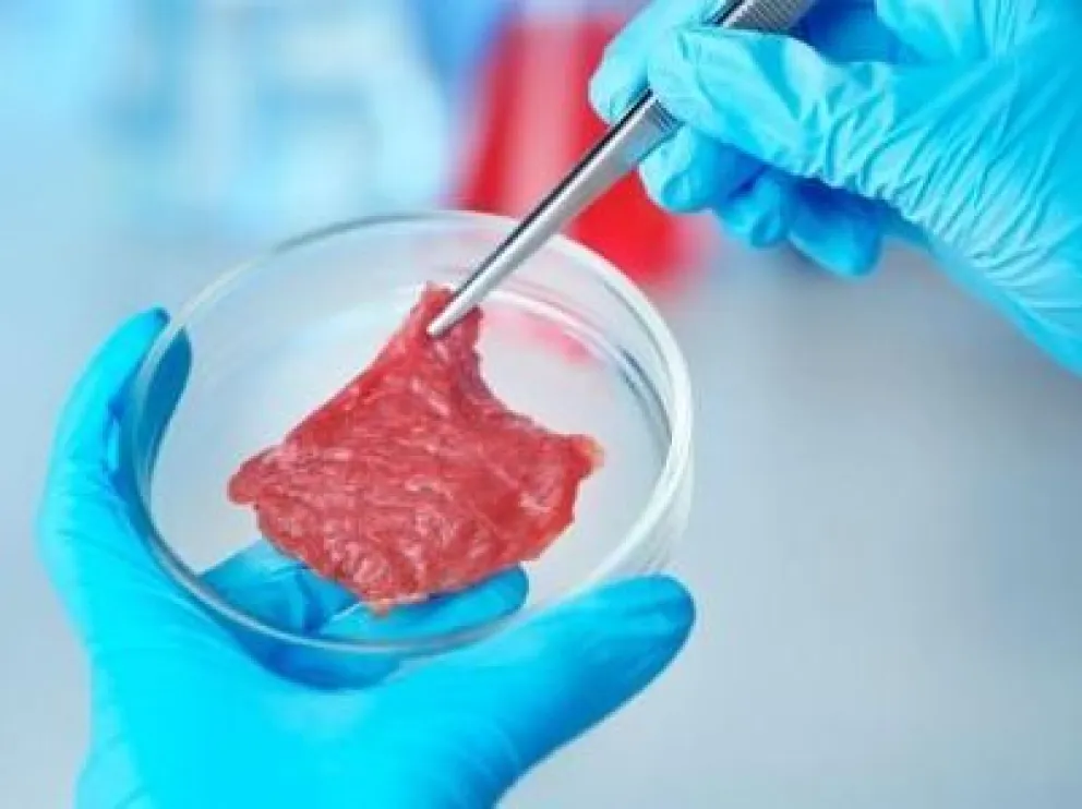Crearon un churrasco artificial hecho en laboratorio