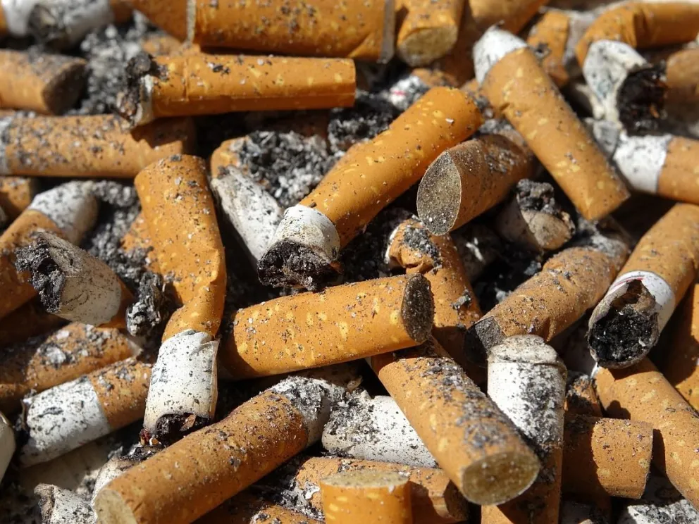 Las colillas afectan negativamente el crecimiento de las plantas