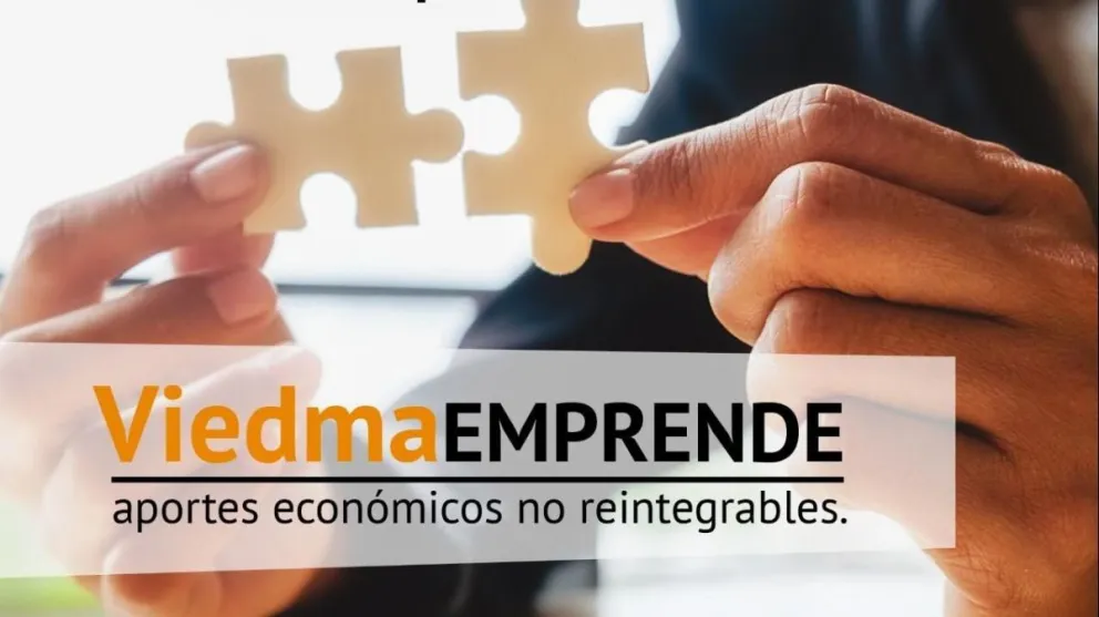“Viedma Emprende”: fueron seleccionados 22 proyectos