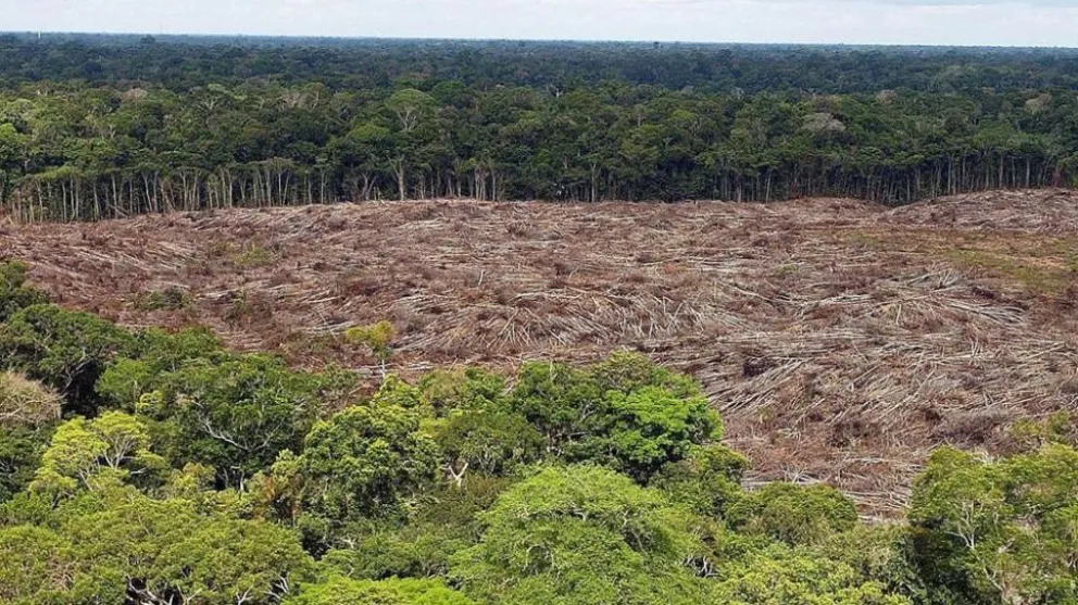 El Amazonas está a punto de entrar en fase “irrecuperable”