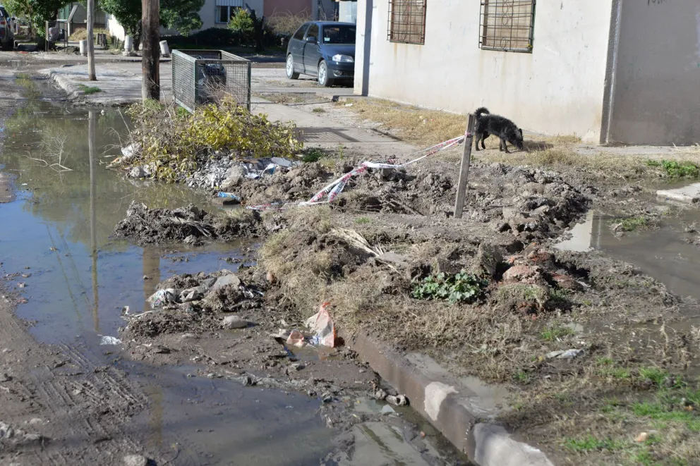 Las 1016 podría convertirse en el primer barrio FONAVI sin desbordes cloacales