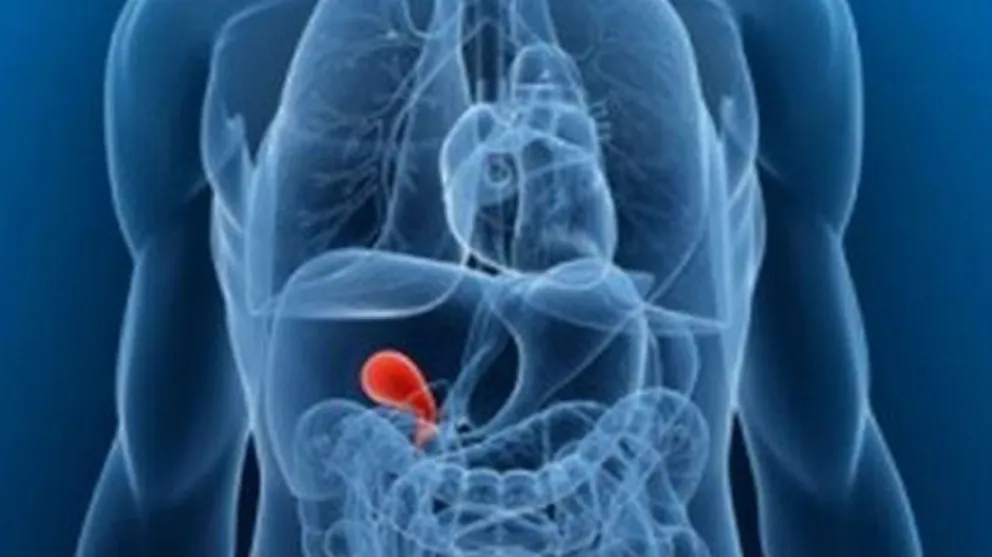 Qué es la vesícula y qué función cumple en el organismo