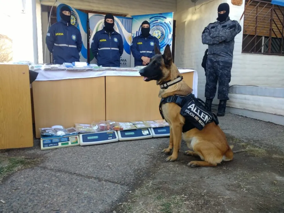 Desbarataron una red narco en el Alto Valle