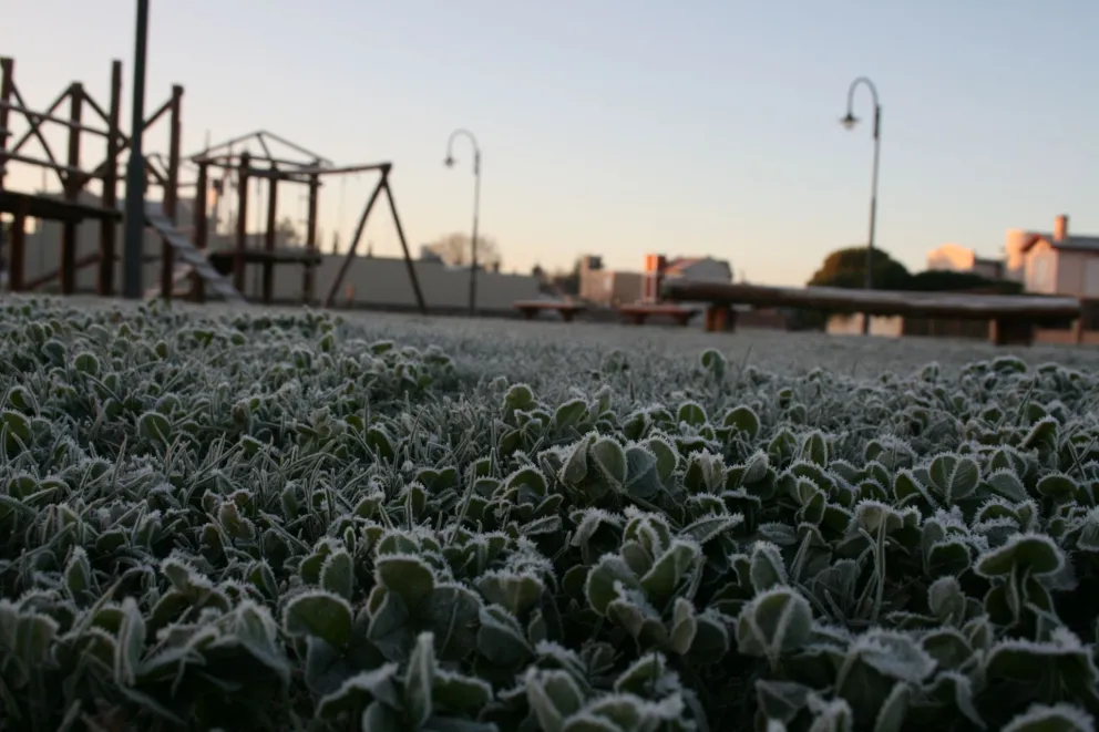 Mañana blanca en la Comarca