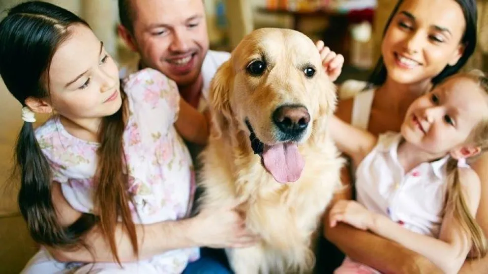 ¿Cuál es la edad ideal para tener una mascota?