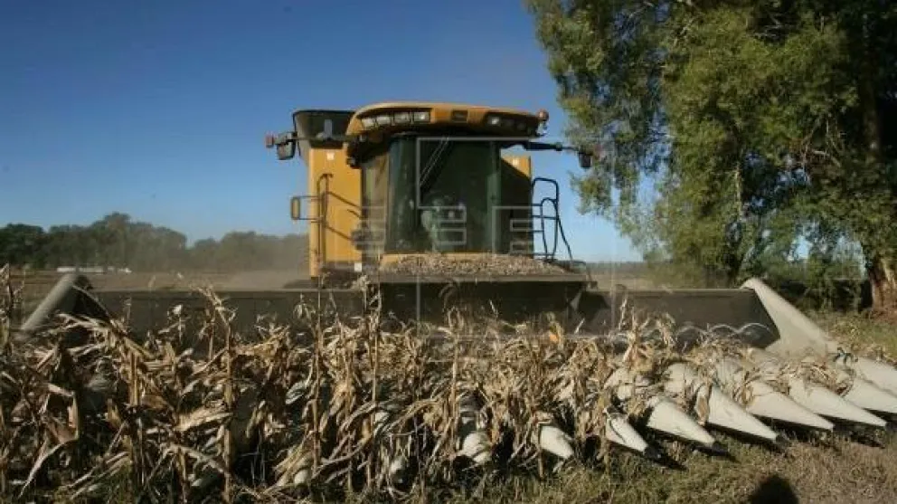 La cosecha agrícola alcanzó un récord de producción