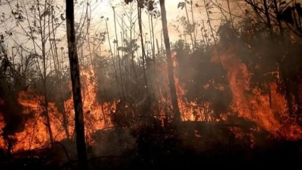 Bomberos argentinos viajarán para combatir los incendios en Amazonas