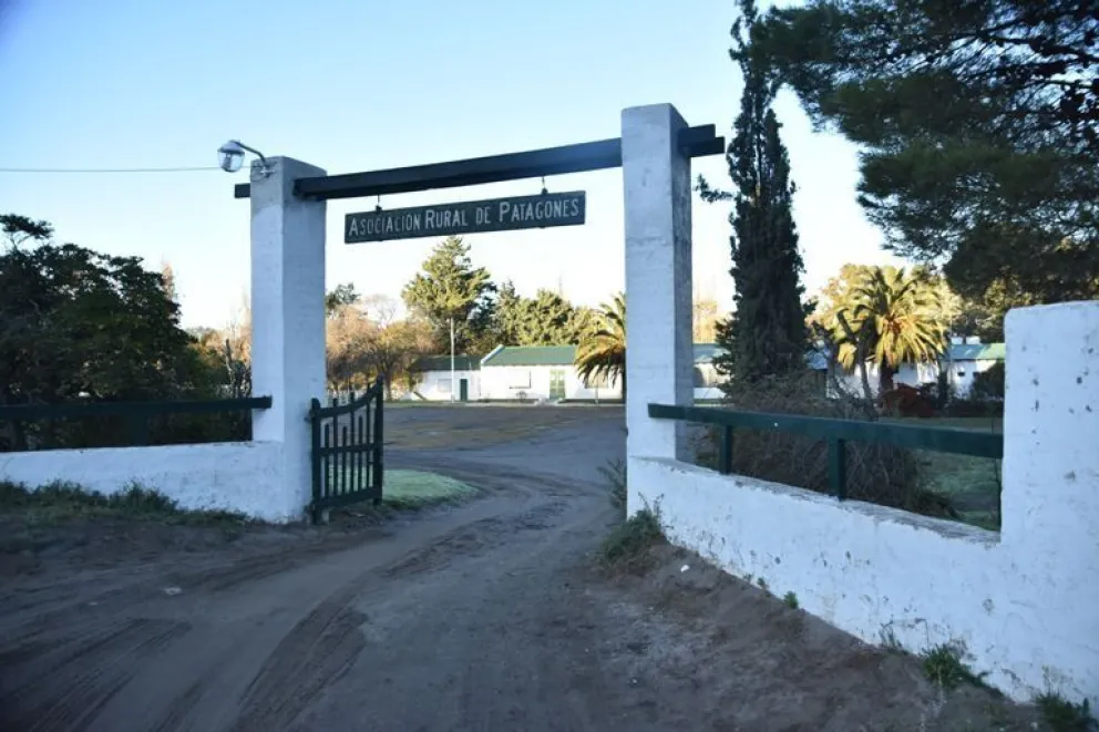 Se viene una nueva exposición en la Rural de Patagones