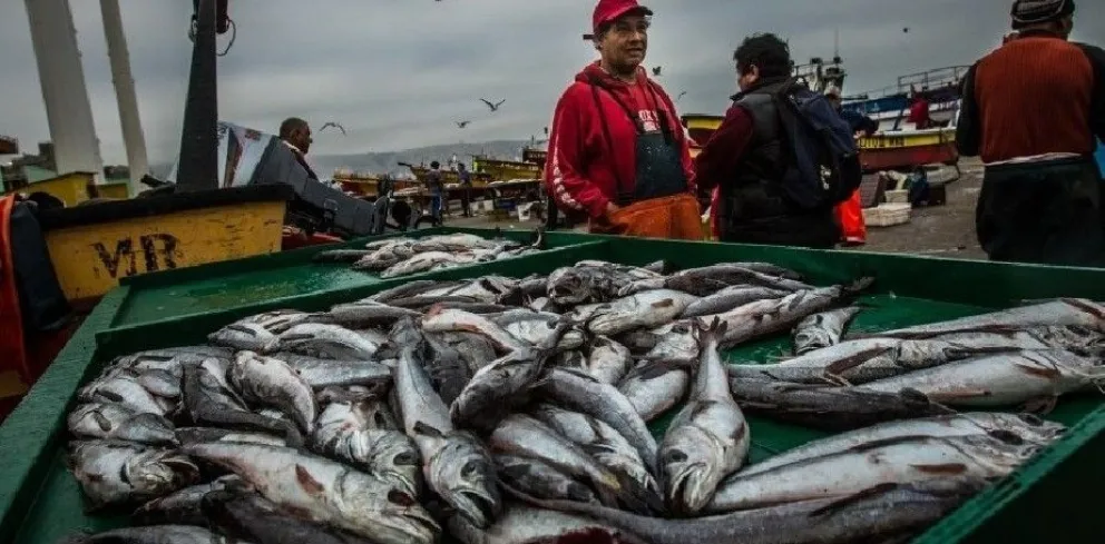 Dos buques pesqueros rionegrinos podrán pescar merluza en aguas nacionales