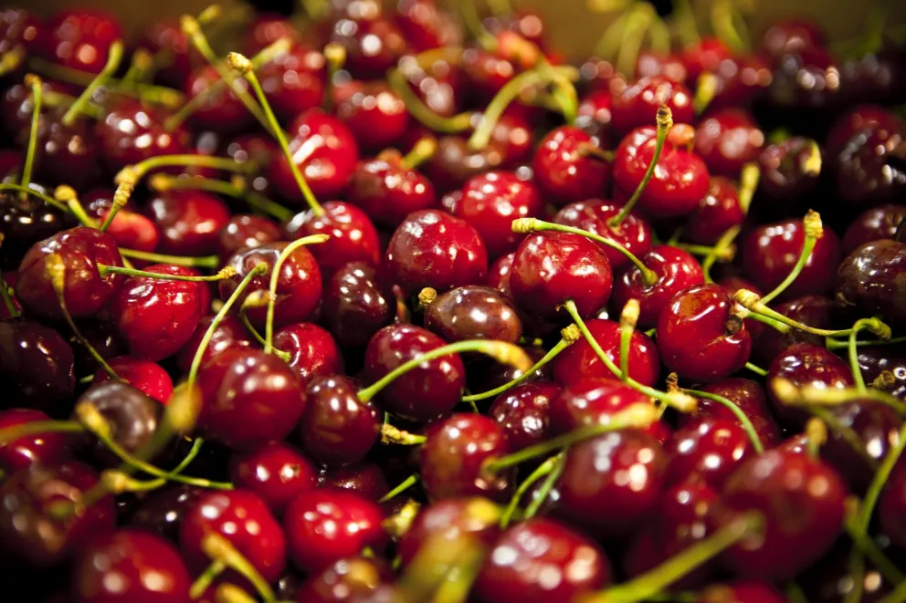 Se abrió el mercado tailandés para uvas y cerezas, incluso de Río Negro