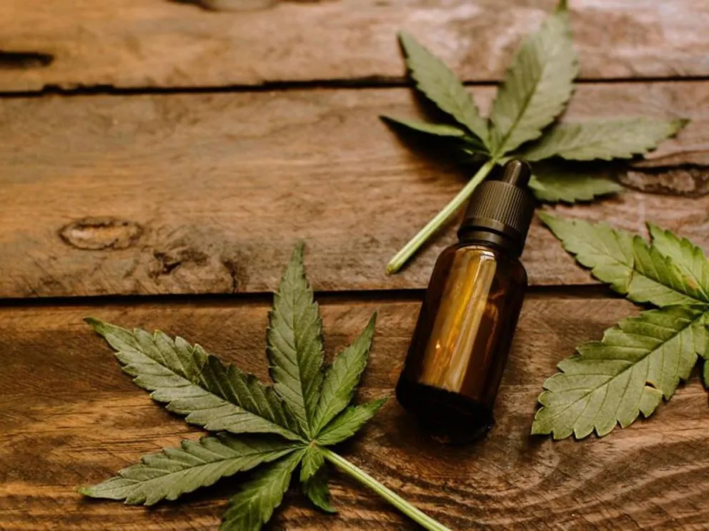 Cannabis medicinal: la Universidad de Río Negro se mete en el tema