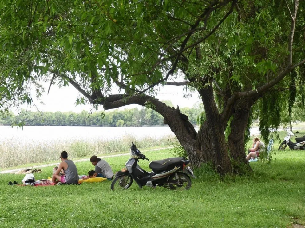 La primavera se hace sentir en la Comarca