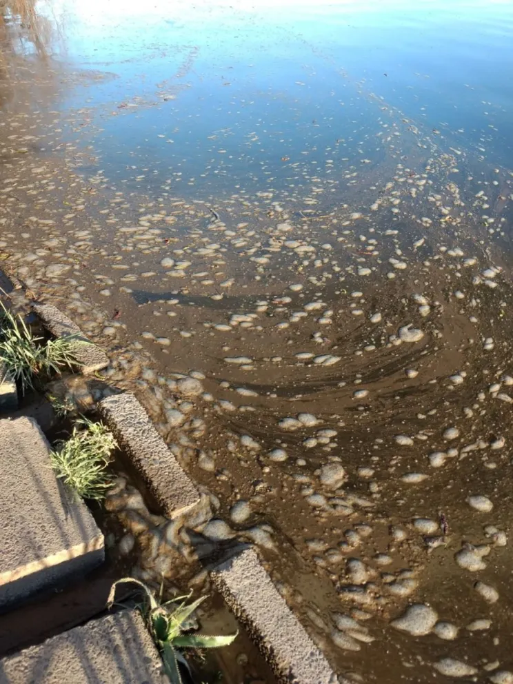 Una mancha con olor putrefacto en el río Negro