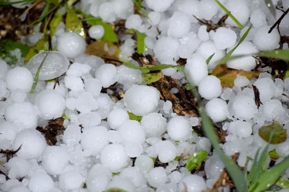 Se declaró la emergencia agropecuaria nacional en Río Negro