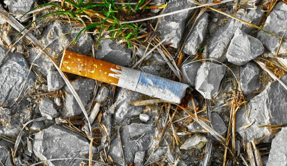 El inodoro y el suelo ¿ son tachos de basura?