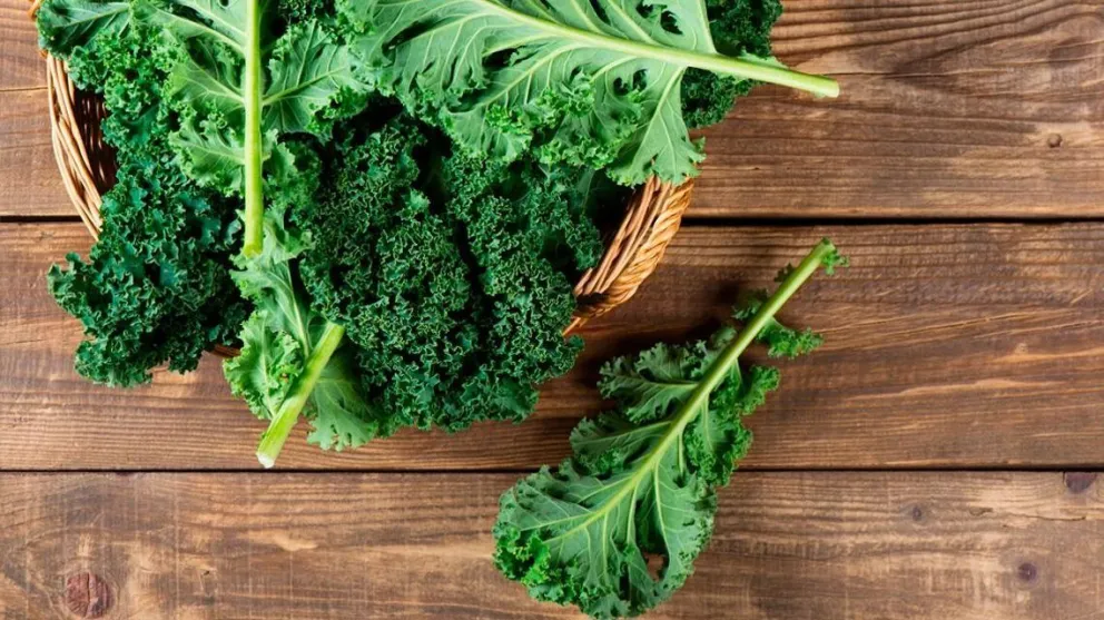 Kale, un súper alimento muy nutritivo y bajo en calorías