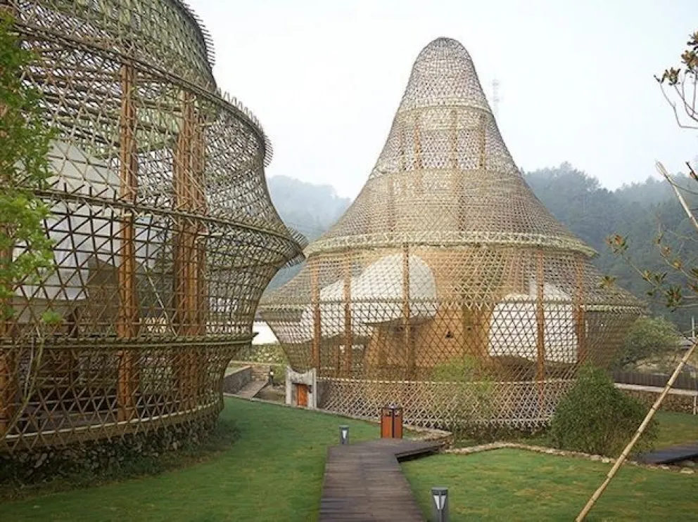 Bambú, el material del futuro en China y Marte