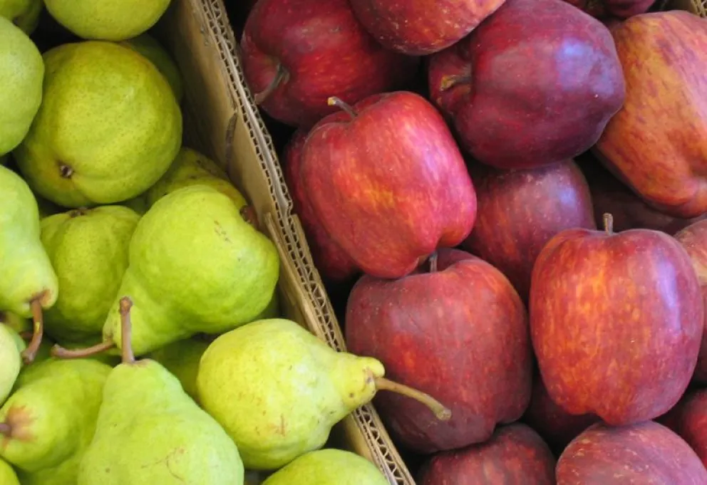 Frutas: "Tenemos una perspectiva para los próximos diez años"