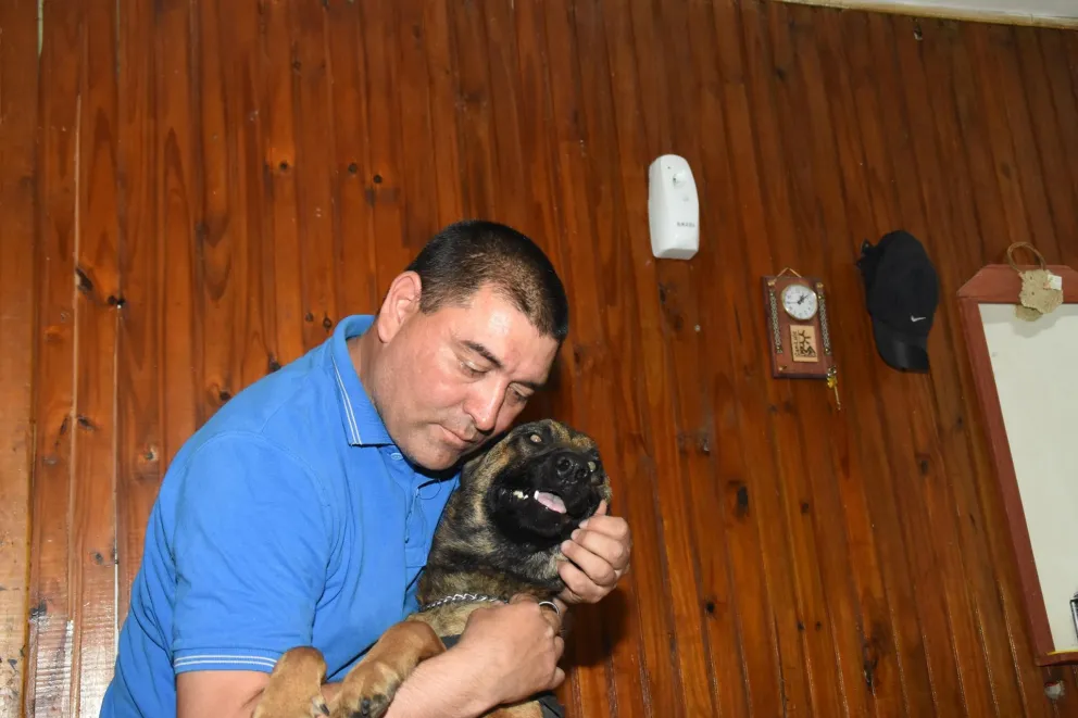 Murió Alcón, un perro que fue crucial en la búsqueda de personas