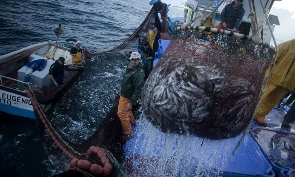 Pesca de Río Negro en Rusia de feria más grandes del mundo