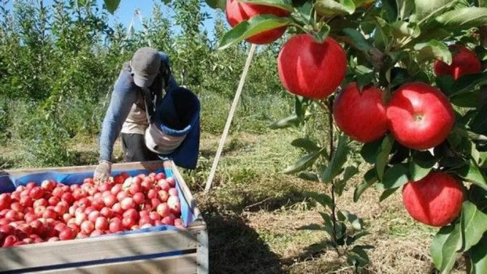 Desde Fruticultura se cuestionó el crédito de Nación