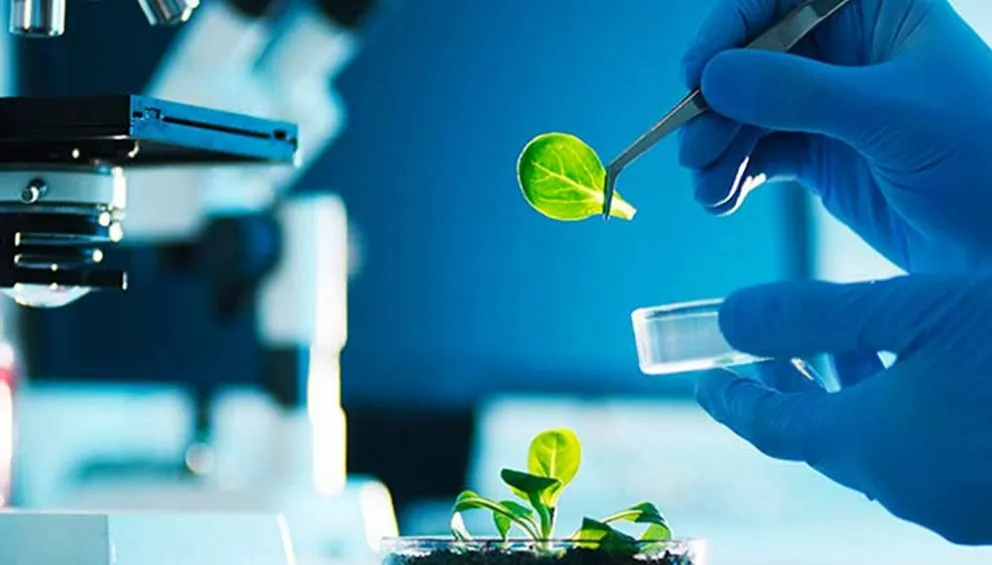 Lanzan plan de acción para promover los Bioinsumos agropecuarios