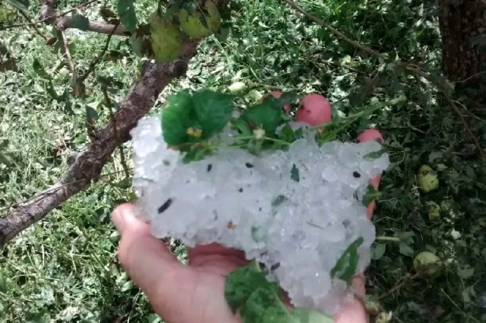 Los productores afectados por el granizo ya fueron resarcidos