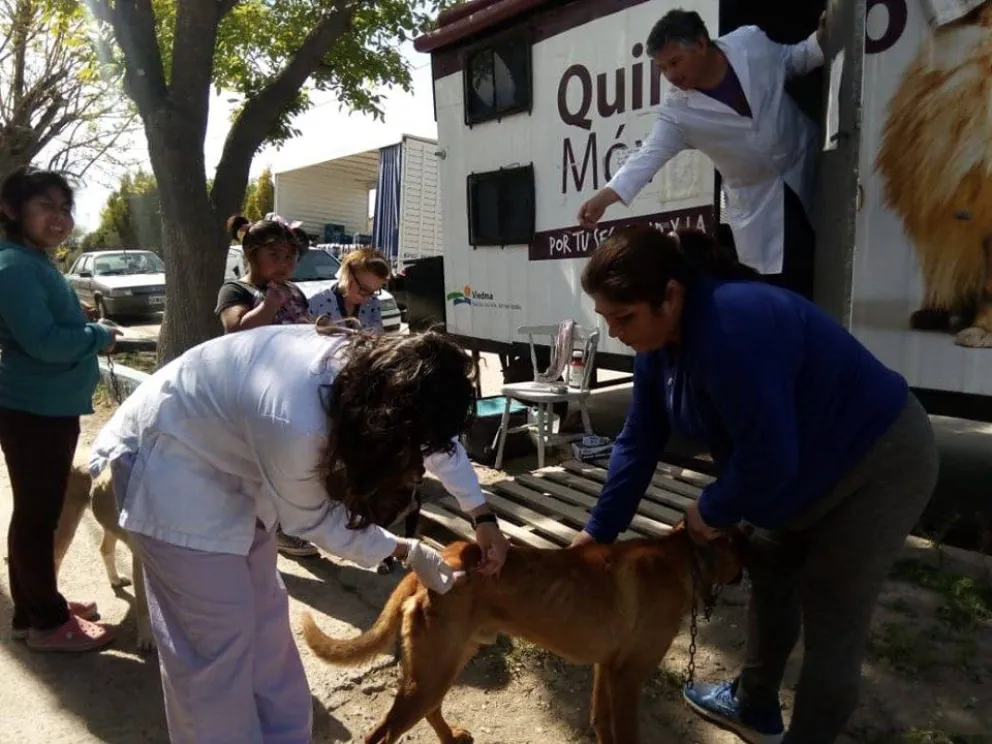 50 mascotas recibieron vacuna antirrábica gratuita en el Lavalle