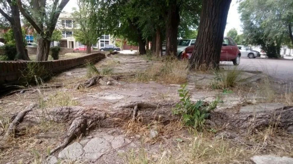 Dos ofertas para poner en valor de los jardines del Ministerio