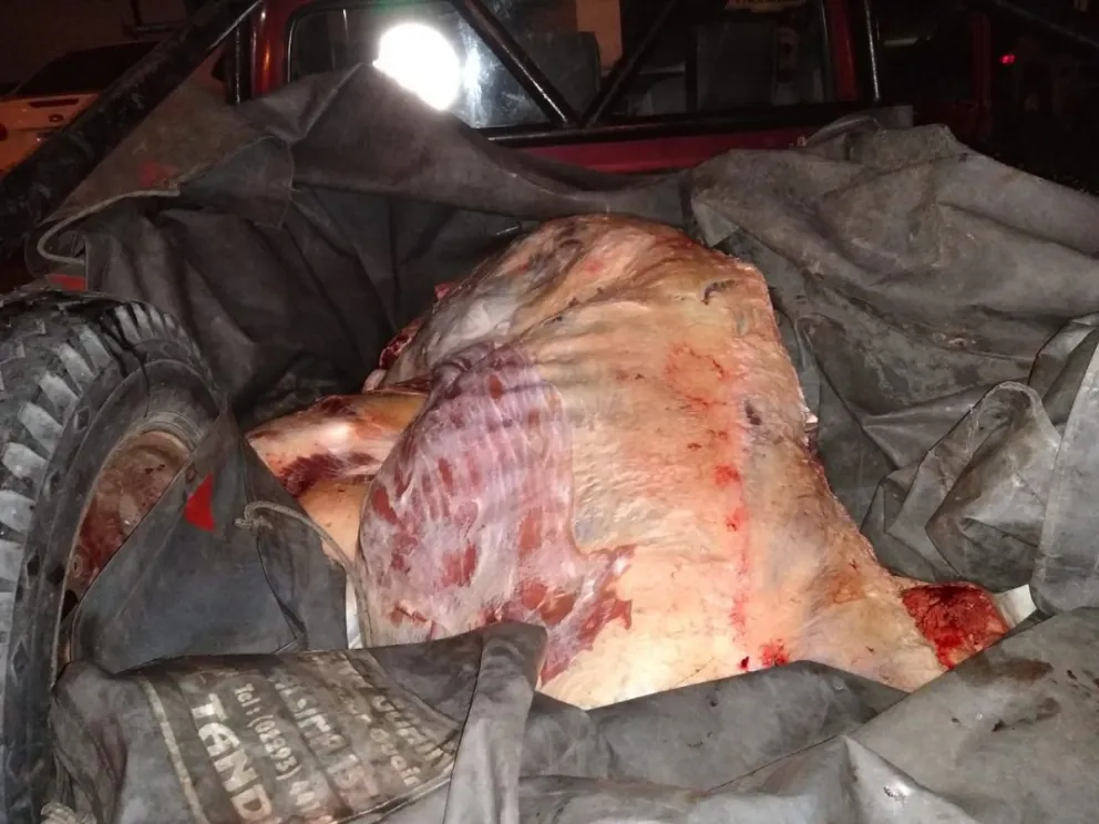 Decomisan 2800 kilos de carne en Viedma