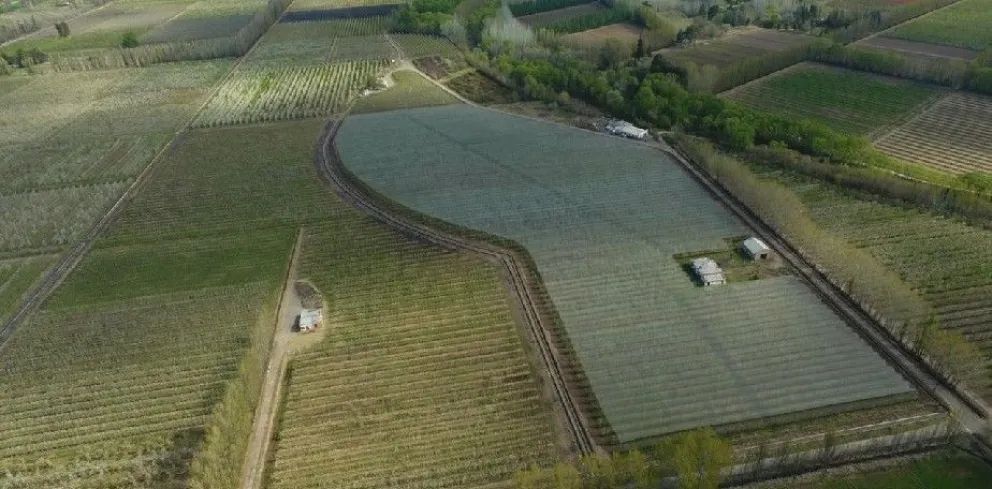 Casi 80 hectáreas del Alto Valle con protección antigranizo