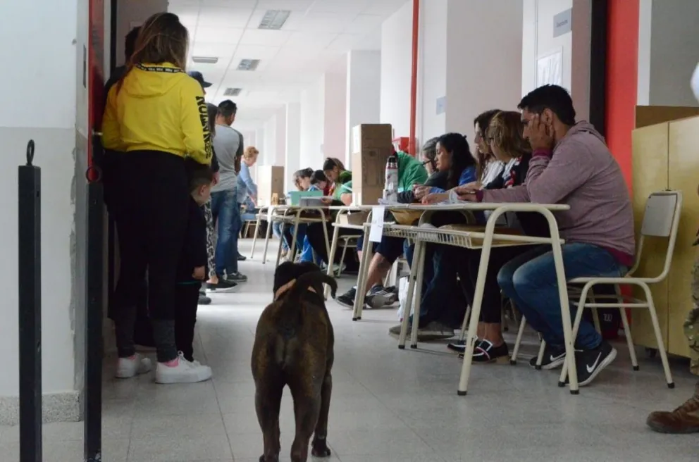 Postales de la elección de este domingo 27