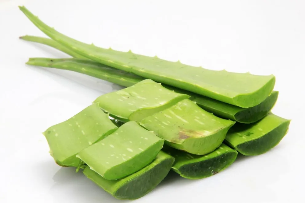 6 Propiedades del Aloe Vera para la salud