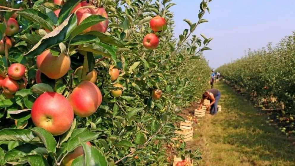 A la espera del desembolso de dinero para compensar a productores