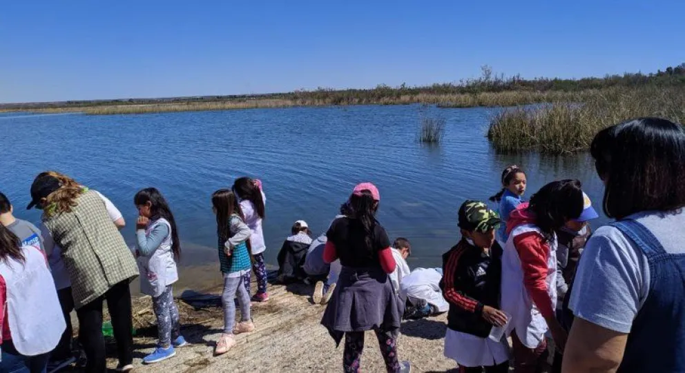 Alumnos de Cinco Saltos siembran pejerreyes en el Lago Pellegrini